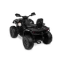 Kép 4/22 - ELEKTROMOS QUAD TOYZ OUTLANDER BLACK