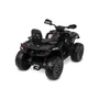 Kép 2/22 - ELEKTROMOS QUAD TOYZ OUTLANDER BLACK