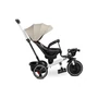 Kép 11/17 - GYEREK HÁROMKEREKŰ BICIKLI TOYZ DASH GREY